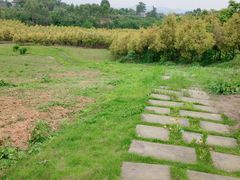 -紫颐香薰山谷景区