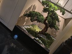 -鹤祥宫·影院足道·SPA连锁(苹果园店)