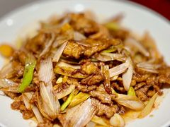 葱爆羊肉-燕春楼(海河华鼎店)