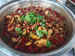 -食神又名厕所兔