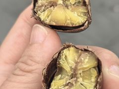 -秋栗香(地安门店)