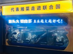 -坛宗剁椒鱼头(河西王府井店)