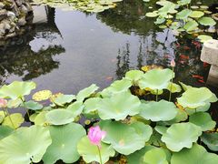 -东山雕花楼