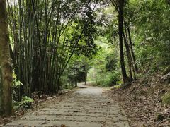 -广州市石门国家森林公园
