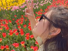 -石家庄市植物园