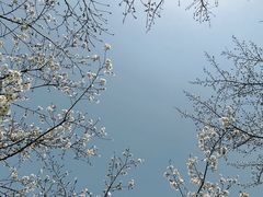 -西北湖绿化广场