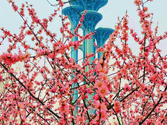 -奥塔空中餐厅