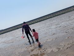 -南汇嘴观海公园