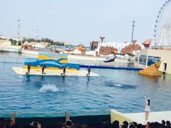 -秦皇岛乐岛海洋王国