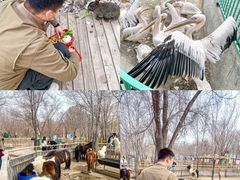 -水上乐园·欢乐世界