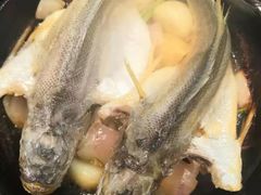-锦粤宫·融合粤菜(上海金沙江店)