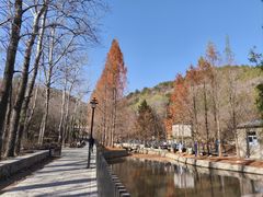 -白水寺森林公园