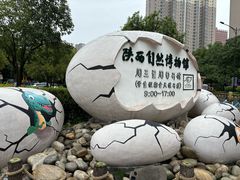 -陕西自然博物馆