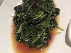 -蝶园·装修中(BFC外滩金融中心店)