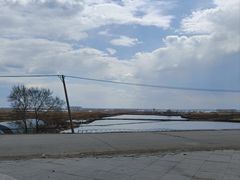 -白渔泡湿地公园