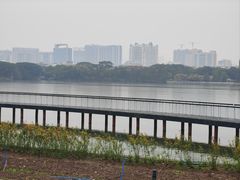-海珠湖公园
