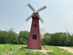 -同里国家湿地公园