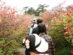 -武汉姚家山旅游景区