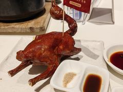 -侨美·唐荔园·40年地道粤菜