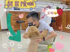 -美联众合动物医院·24h转诊中心