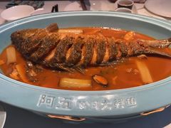 -阿五黄河大鲤鱼(英协路店)