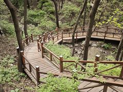 -大岭沟猕猴桃谷风景区