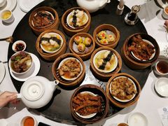 -食为先(Shark Fin)