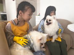 -怪兽屋·羊驼·猫咖·狗咖(俊华广场店)