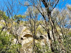 -大岭沟猕猴桃谷风景区