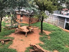 -昆明动物园