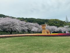 -苏州上方山国家森林公园