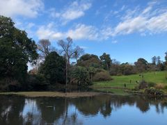 -墨尔本皇家植物园