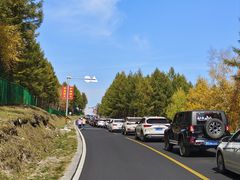 -塞罕坝国家级自然保护区