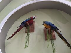 -陕西自然博物馆