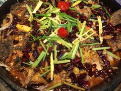 -老板恋上鱼(恒隆广场店)