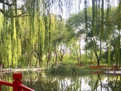 -玲珑塔公园