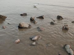 -深圳湾公园(南山区)