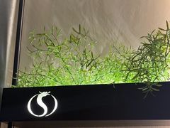 -华夏良子·足道SPA艾灸(铁道大厦店)