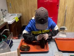 -十八字金·银饰·拼豆·开蚌DIY(魏公芳华里店)
