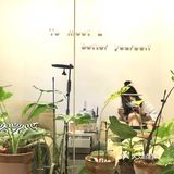 总体感觉很不不错，效果意想不到