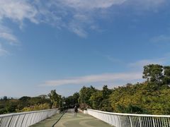 -飞凤山奥体公园
