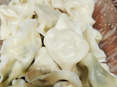 -山东水饺(南坪新街店)