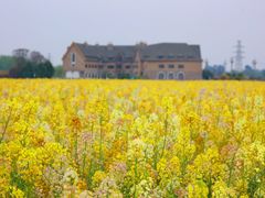 -中国天府农业博览园