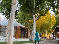 -九十九顶毡房(阜石路店)