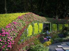 -深圳仙湖植物园