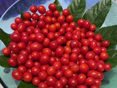 -王家渡火锅店(亦庄店)