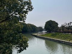 -同里国家湿地公园