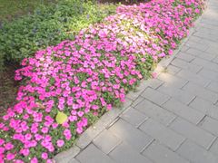 -梦东方未来世界航天主题乐园