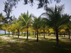 -东姑阿都拉曼海洋公园