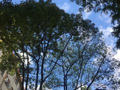 -上海财经大学(国定路校区)